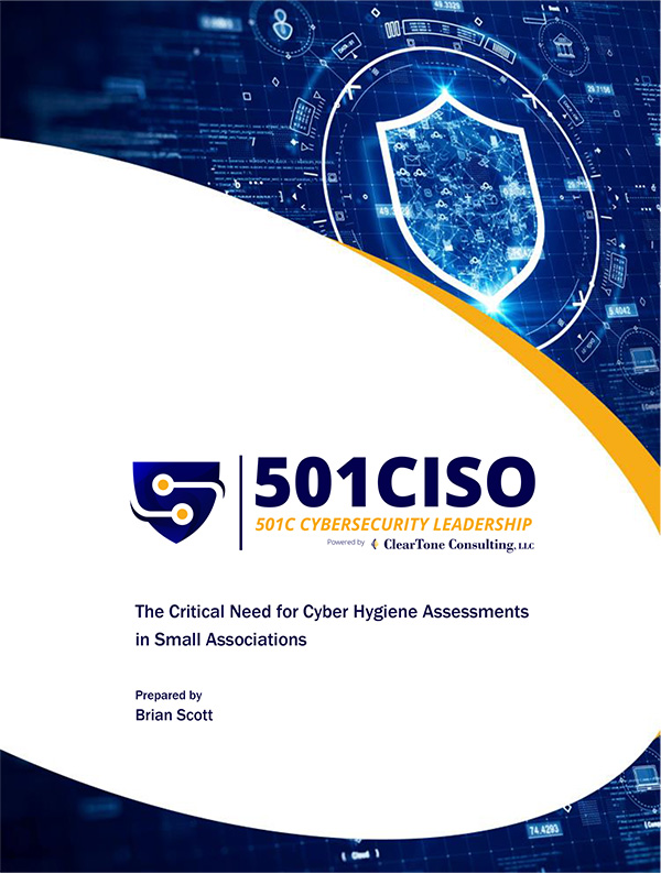 You are currently viewing The Critical Need for Cyber Hygiene Assessments in Small Associations